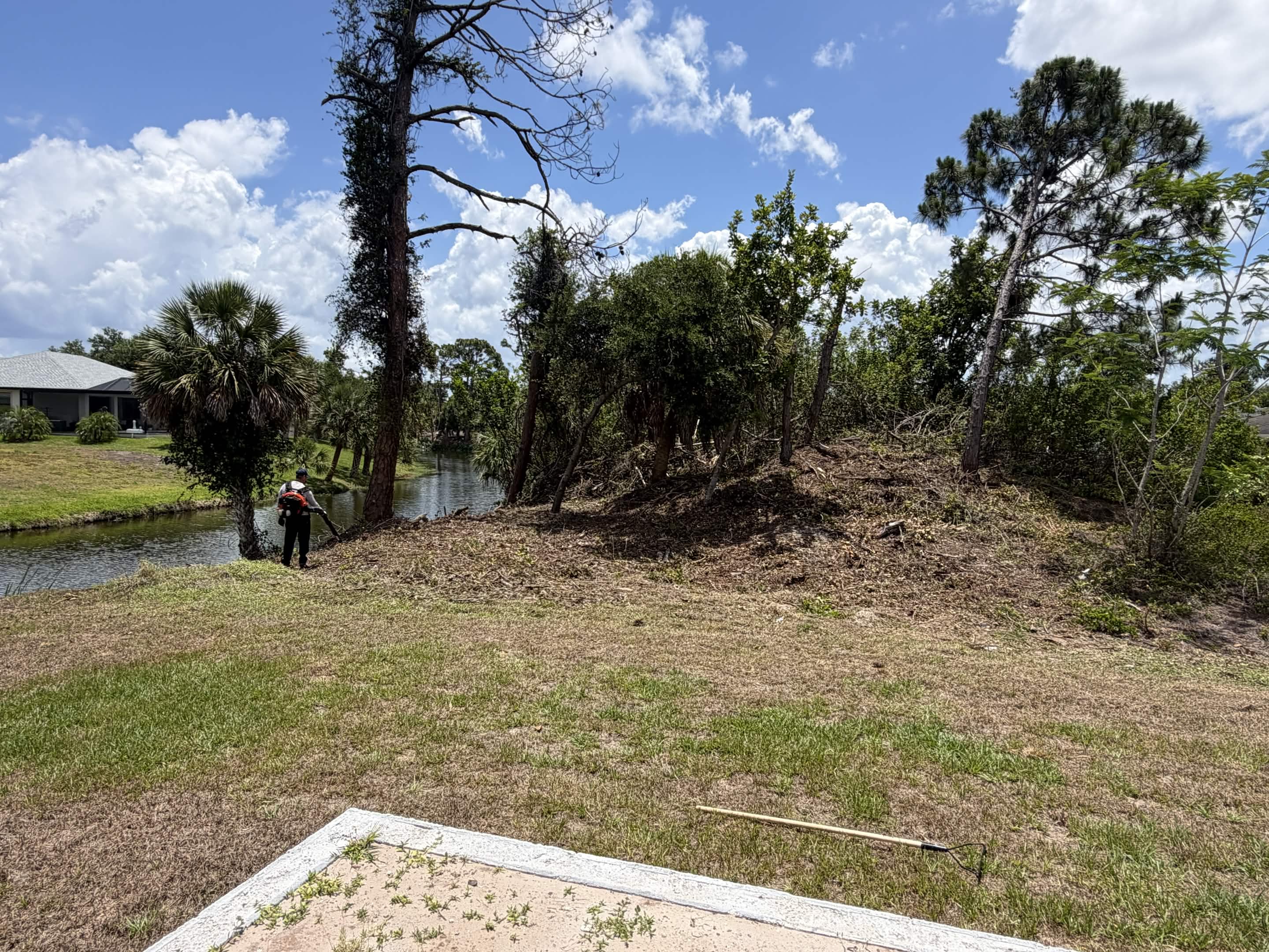 After clearing overgrown waterfront brush
