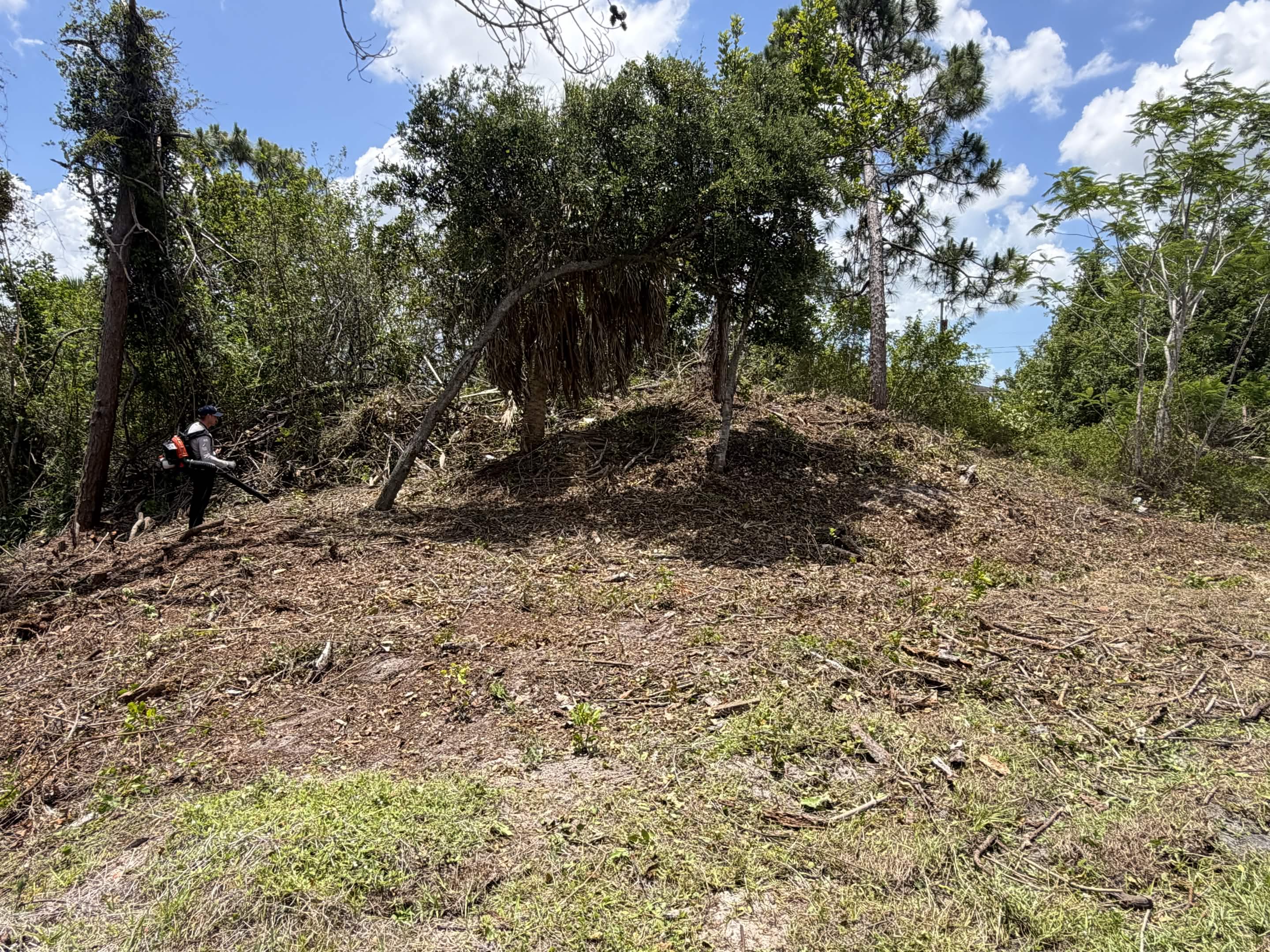 After landscape cleanup on wooded property edge